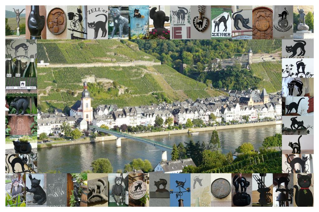 B&B Pension Winzerhaus Zell-Mosel מראה חיצוני תמונה