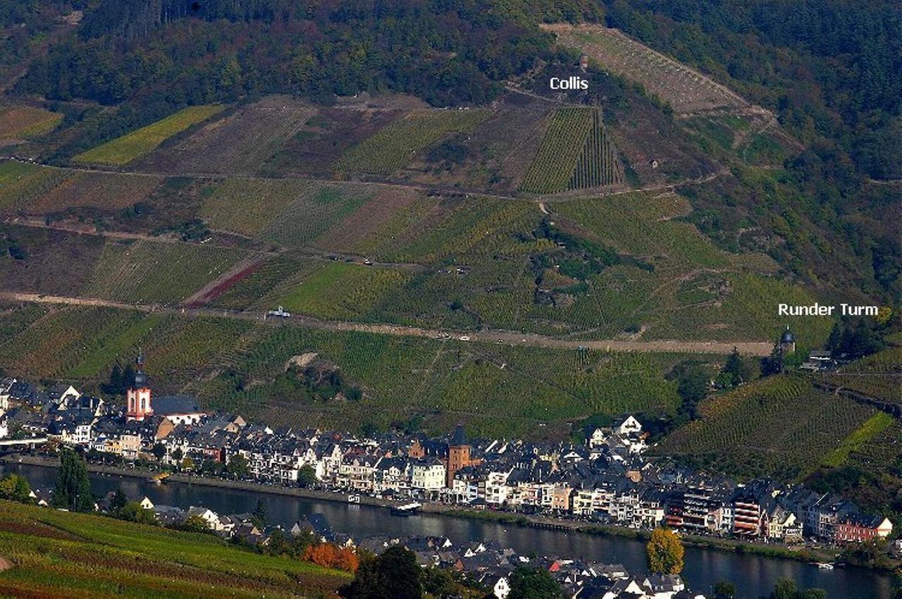 B&B Pension Winzerhaus Zell-Mosel מראה חיצוני תמונה
